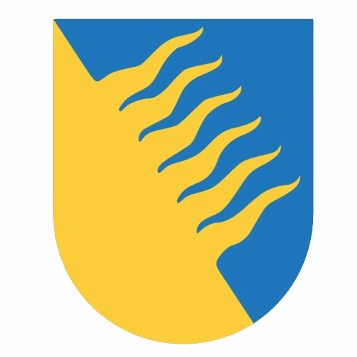 Kohtla-Järve linn